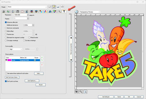 SAi FlexiSign 22 Lifetime License (Instant Download)